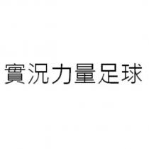 實況力量足球