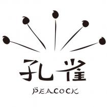 孔雀 PEACOCK 及圖
