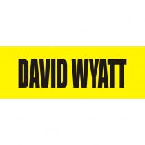DAVID WYATT