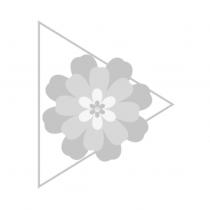 三角櫻花圖
