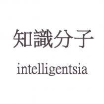 知識分子 intelligentsia