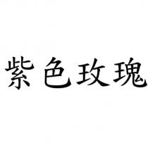 紫色玫瑰