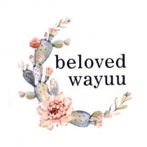 beloved wayuu 及圖