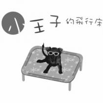 小王子的飛行床及圖
