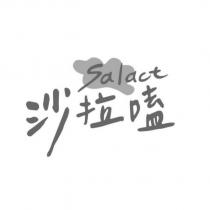 沙拉嗑 salact 及圖