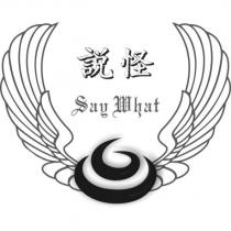 說怪 Say What 及圖