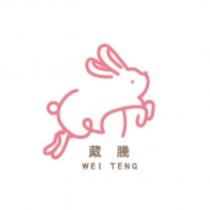 葳騰 WEI TENG 及圖