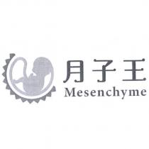 月子王 Mesenchyme 及圖