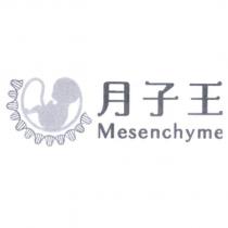 月子王 Mesenchyme 及圖