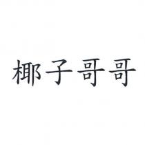 椰子哥哥