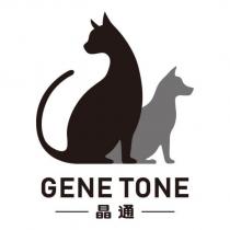 晶通 GENE TONE 及圖