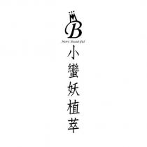 B More Beautiful 小蠻妖植萃及圖