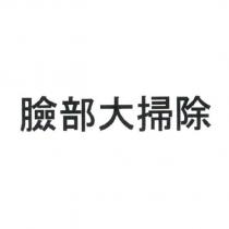 臉部大掃除