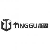 TINGGU 挺固及圖