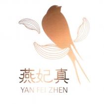 燕妃真 YAN FEI ZHEN 及圖