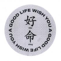 好命 hao ming WISH YOU A GOOD LIFE 設計圖