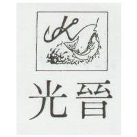 光晉 KT 及圖