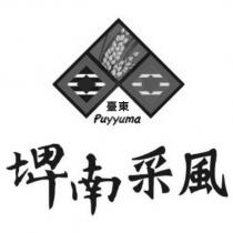 埤南采風 臺東 puyyuma 及圖