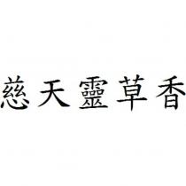 慈天靈草香