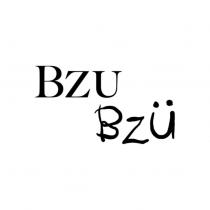BZU 及 BZU 設計字