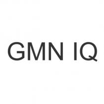 GMN IQ