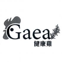 Gaea 健康雞及圖