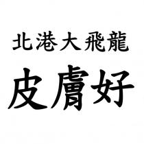 北港大飛龍皮膚好