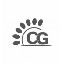 CG 及圖