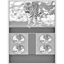 虎設計圖