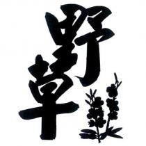野草及圖