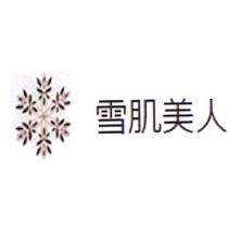 雪肌美人及雪結晶設計圖