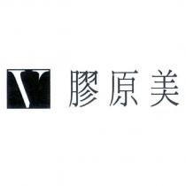 膠原美與 V 字圖形