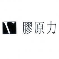 膠原力與 V 字圖形