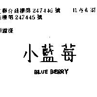 小藍莓 BLUEBERRY 