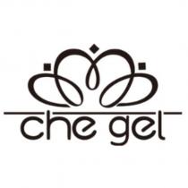 che gel 及圖