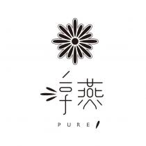 淳燕 PURE 及圖