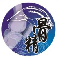 骨精及圖
