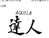 達人 AQUILA 