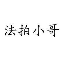 法拍小哥