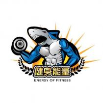 健身能量 ENERGY OF FITNESS 及圖