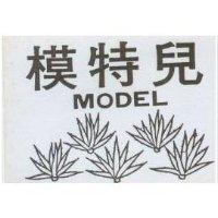模特兒及圖 MODEL