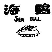 海鷗 SEA GULL 及圖