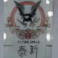 泰新 FLYING EAGLE 及圖