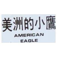美洲的小鷹 AMERICAN EAGLE