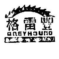 格雷豐 GREYHOUND 及圖 