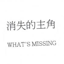 WHAT'S MISSING 消失的主角