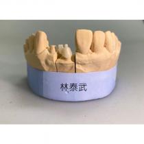 林泰武及圖