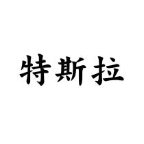特斯拉