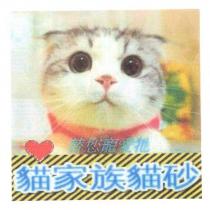 貓家族貓砂及圖
