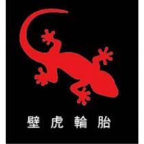 壁虎輪胎及圖